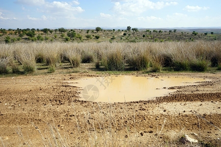 以色列朱迪亚泥土路上的水高清图片