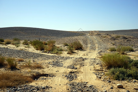 以色列内盖夫沙漠的铁轨和灌木丛图片