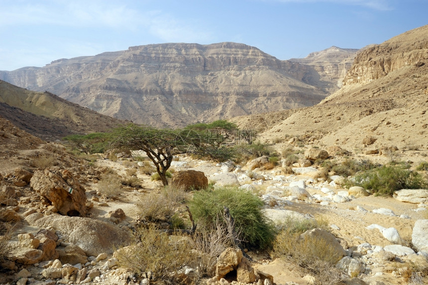 以色列境内MakhteshKatan坑的瓦迪图片