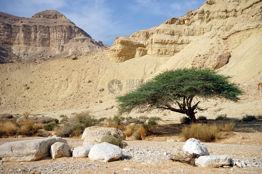在以色列内盖夫沙漠的MakhteshKatan坑中图片
