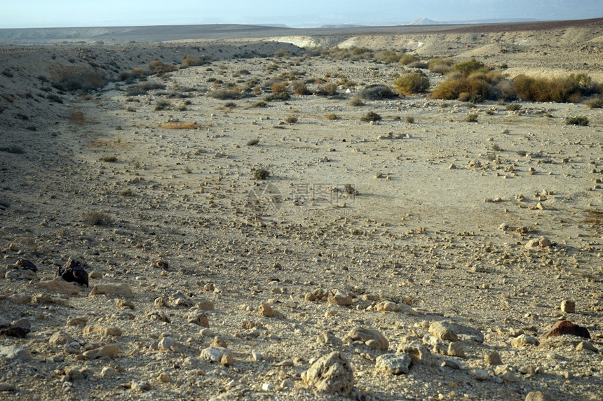 以色列内盖夫沙漠中的瓦迪图片