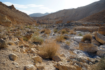以色列内盖夫沙漠的Ravine图片