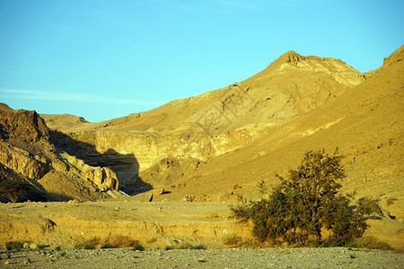 以色列内盖夫沙漠黄山图片