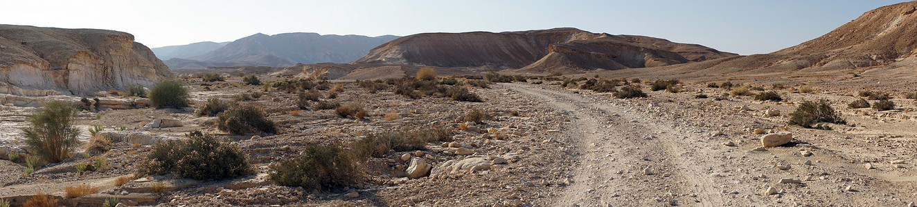 在以色列Negev沙漠宽阔的瓦地铁轨上图片