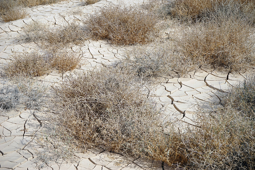 以色列内盖夫沙漠中被割裂的干泥土图片
