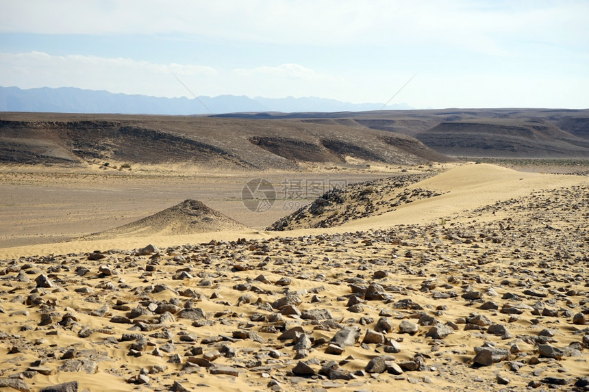 以色列内盖夫沙漠KasuiDune的景象图片
