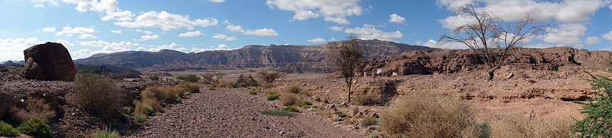 以色列内盖夫沙漠蒂姆纳公园全景图片