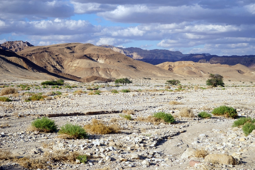 以色列内盖夫沙漠干河床图片