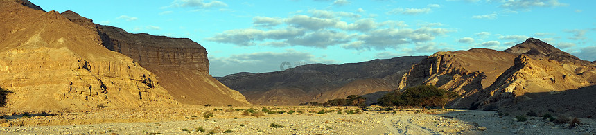 以色列内盖夫沙漠的宽大瓦迪图片