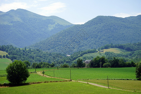 法国皮雷尼山的公路和田地高清图片