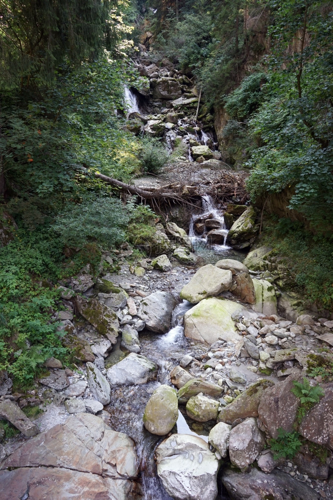 瑞士森林的峡谷中小河图片