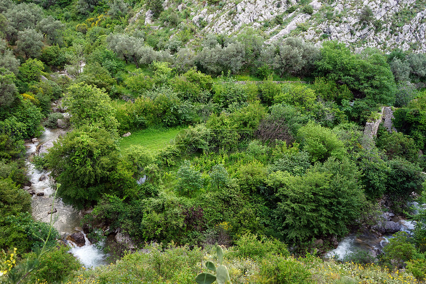 黑山旧律师协会附近的河流和绿灌丛图片