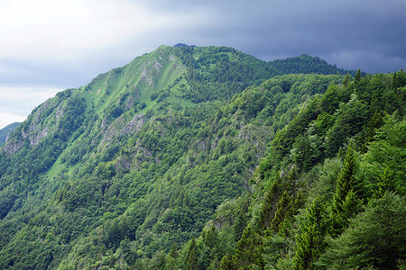 斯洛文尼亚农村地区山的森林图片