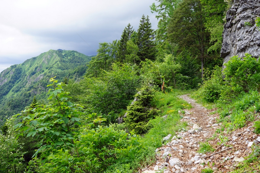 斯洛文尼亚绿色山区的足迹图片