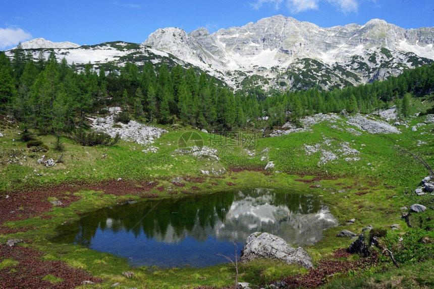 斯洛文尼亚特里格拉夫山附近区湖图片