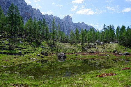 斯洛文尼亚阿尔卑斯山Triglav山区湖和绿草图片