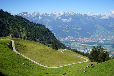利希滕斯坦山谷山坡上的公路图片