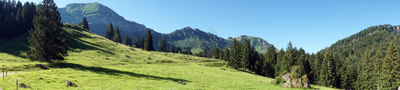 瑞士山区绿坡全景图片