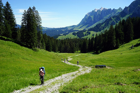 人们在瑞士山坡的轨道上行走图片