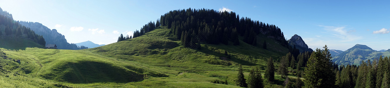 瑞士山区绿色丘全景图片