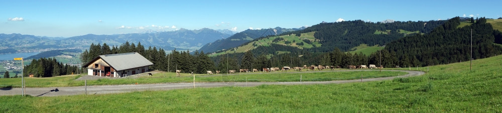 瑞士农舍绿草牧场和森林全景图片