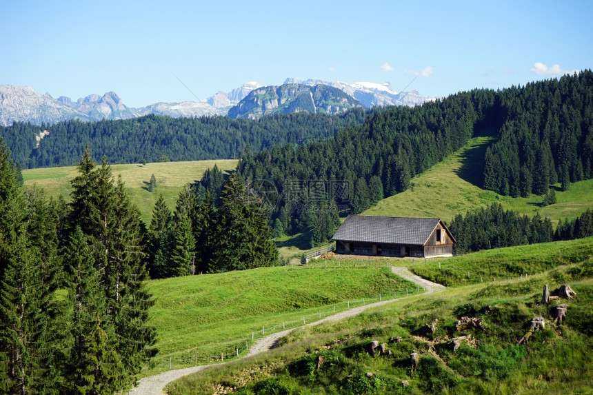 瑞士绿草田和农场道路图片