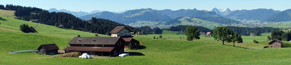 瑞士绿色牧场和农舍全景图片