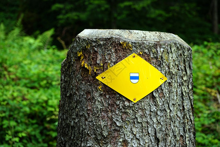 在瑞士的森林里以徒步足迹标记的坚固图片