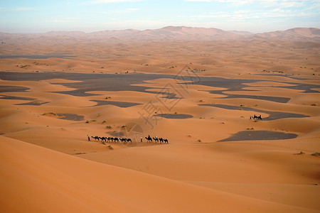 摩洛哥撒哈拉沙漠中的车队图片