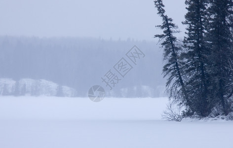 加拿大瓦克苏湖冬季阿尔伯特王子公园图片