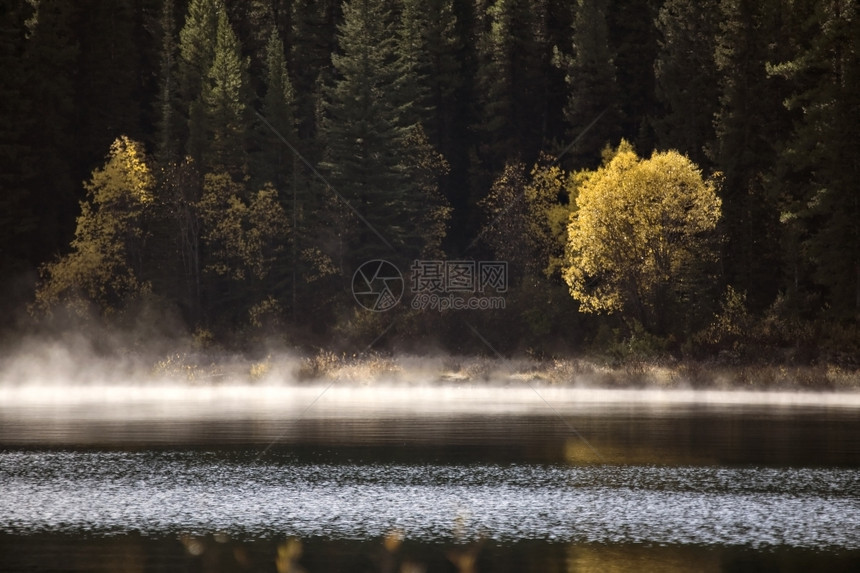 秋树黄中的洛基山湖图片