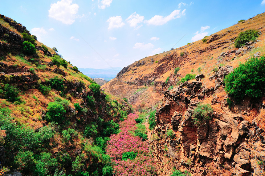 从戈兰高地以色列到约旦河谷图片