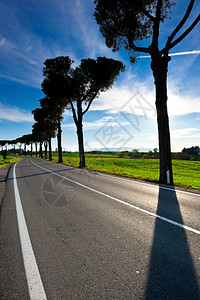 草原道路上的树木阴影图片