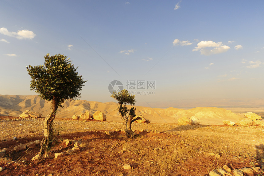 死海附近朱迪亚山的风景图片