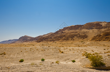 萨克拉曼多以色列萨马里亚沙丘大石背景