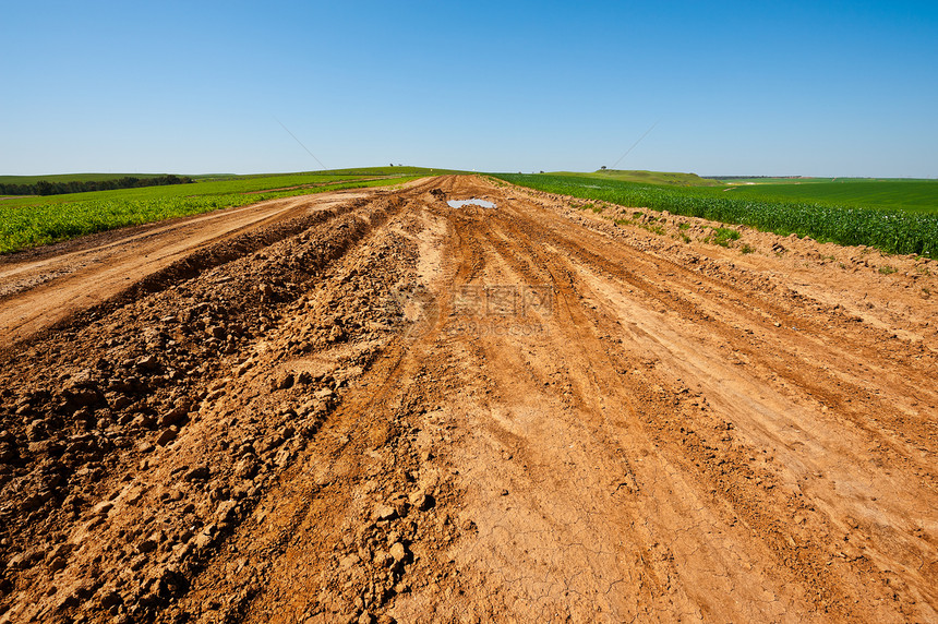 以色列绿田之间的泥土路春天图片