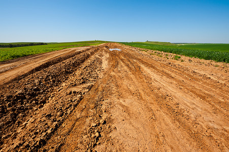 以色列绿田之间的泥土路春天高清图片