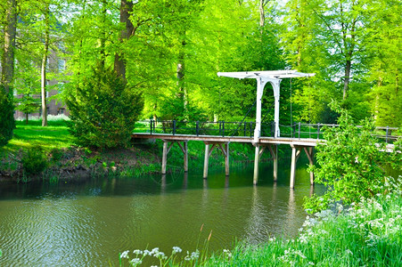 在荷兰公园上架起吊桥图片