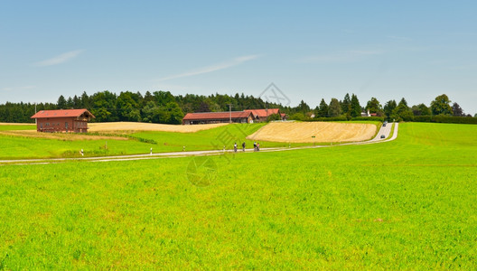德国巴伐利亚玉米和小麦田之间公路上的自行车图片