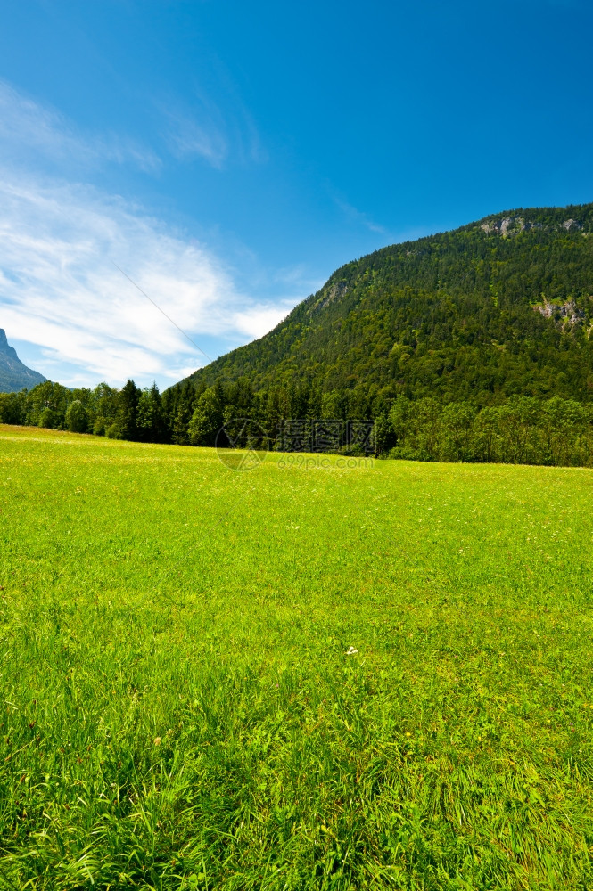 德国南巴伐利亚的牧草图片
