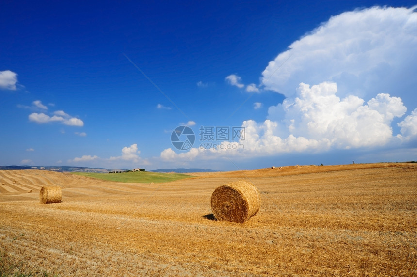 中午的托斯卡纳与许多海巴勒斯的托卡纳风景图片