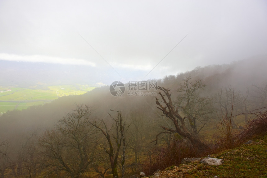 西班牙比利牛斯高地莫覆盖着树木的福吉景观图片