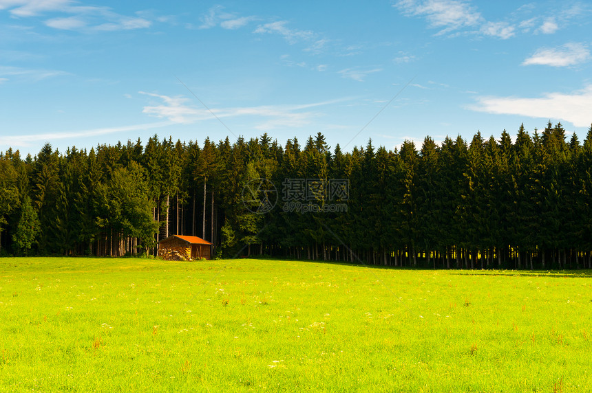 德国巴伐利亚森林景观图片