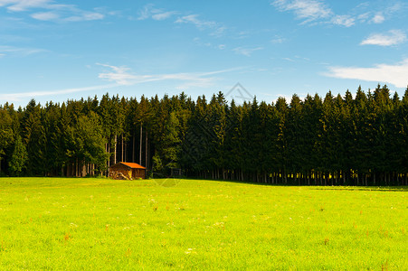 德国巴伐利亚森林景观图片