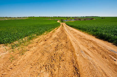 以色列之春绿田间通往湖的泥土路高清图片