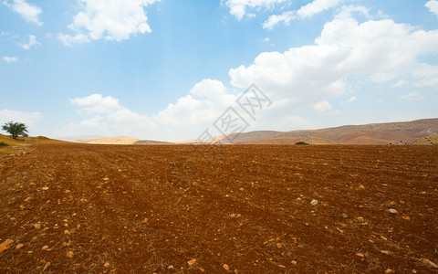 以色列Samaria的洛基山丘对着以色列Samaria的耕种田地图片
