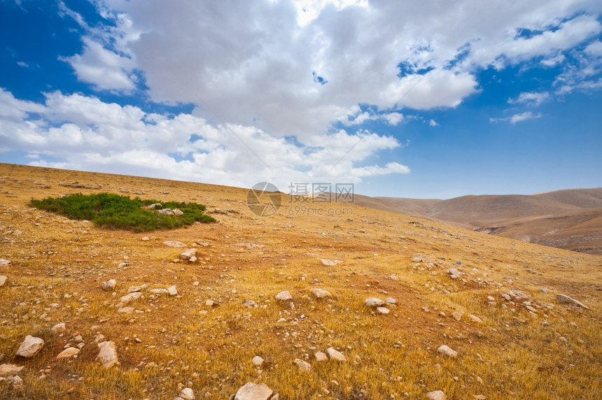以色列Samaria沙丘的绿色洲和大石头图片