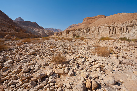 犹大沙漠中的干河床高清图片