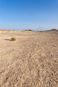 约旦河西岸沙漠图片