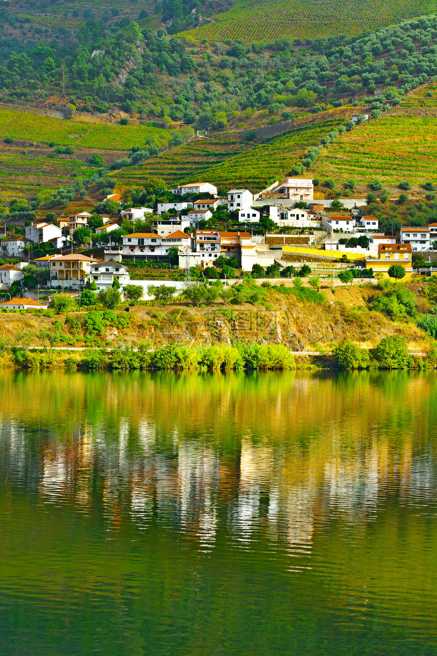 葡萄牙杜罗河谷的葡萄园图片